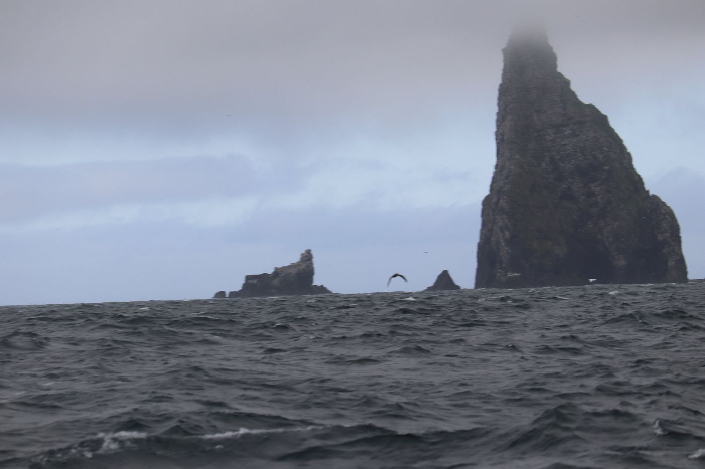 The tallest stack driving up through the fog